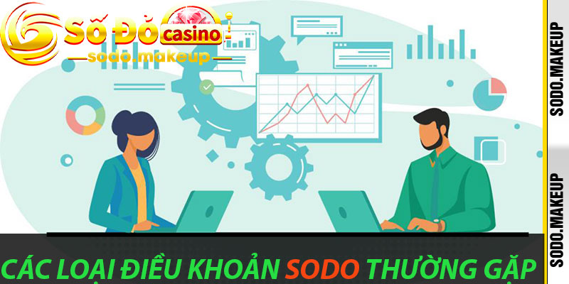 Các Loại Điều Khoản Sodo Thường Gặp