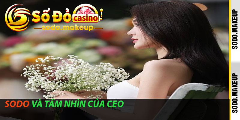 Sodo và tầm nhìn của CEO