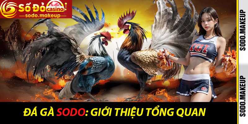 Đá Gà Sodo: Giới thiệu tổng quan