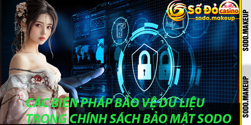 Các Biện Pháp Bảo Vệ Dữ Liệu Trong Chính Sách Bảo Mật Sodo